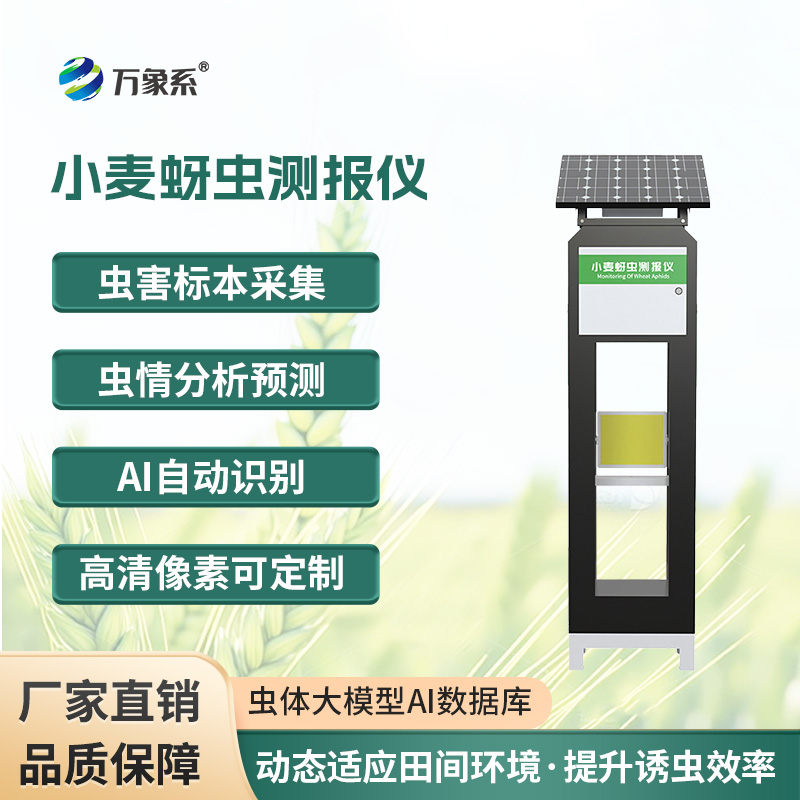 小麥蚜蟲(chóng)測(cè)報(bào)儀，保障小麥健康成長(zhǎng)的利器之一
